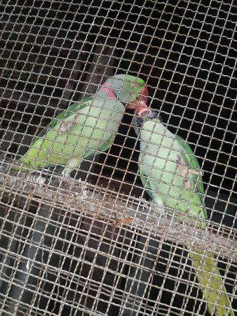 Lalbhai Dalpatbhai Museum